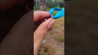 How to aim using a slingshot  #slingshot #catapults #shortvideo