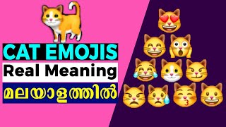 whatsapp cat emoji real meanings in malayalam | cat emoji real meaning in malayalam