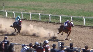 Claudioturf - Hipódromo de Sastre, Santa Fe - Bandido 08/09/2024