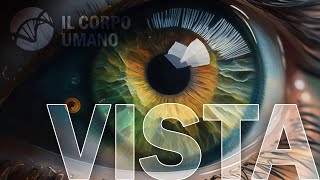 La Vista e l'occhio - Sensi e organi di senso | Il Corpo Umano