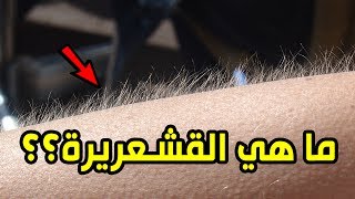 ما هي القشعريرة  ؟