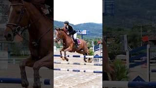 Hipismo - saltos #hipismo #showjumping #saltoshipicos #equestriangirl #equestrian #equitación