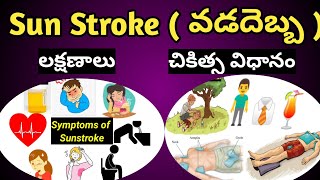 Sunstroke (వడదెబ్బ ) Causes , Symptoms and Treatment in Telugu.