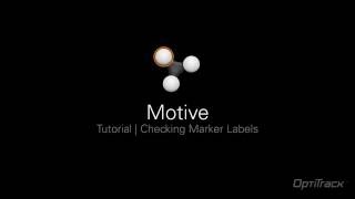 Motive Tutorial | Checking Marker Labels