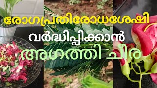 അഗത്തി ചീര തോരൻ /അമൂല്യം ഈ അഗത്തി ചീര /Agastya cheera recipe #recipe #food #ayurvedic #plants