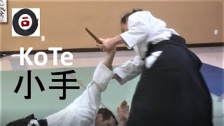 WayOf合氣 | SPARRING 合氣道稽古日記 | Kote 小手返し : Katsumi Idogawa Sensei (井戸川克巳先生) Oizumi Aikido 大泉合氣道 2019#2