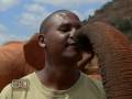 The Elephant Orphanage