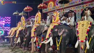 #pooram #aana #Chenda Nalukulangara uthsavam 2023  #vmk #keralatemplefestival