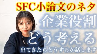 SFC小論文ネタ〜企業の役割〜