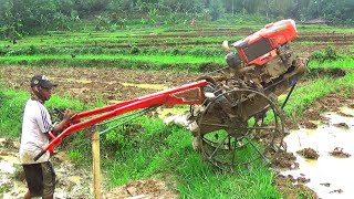 Masuk Kebun Perjalanan Traktor Sawah G1000 Pindah ...