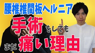 【腰椎椎間板ヘルニア リハビリ】なぜ腰椎椎間板ヘルニアは手術をしてもリハビリをしてもまだ痛いのか？【兵庫県姫路市】