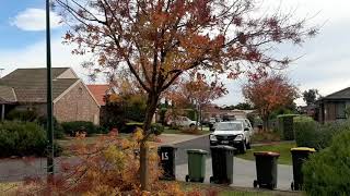 25 May 2021 - Aspect Tree Management came to trim \u0026 cut off some council trees