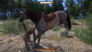 Kingdom Come: Deliverance  - Go Pebbles! Go!....Pebbles!? :D