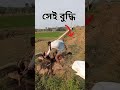 বস্তার ভিতর এটা কি shortvideo funnyvideo funny