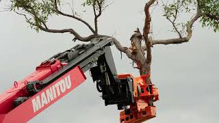 Manitou Arbor Solutions - Grapple Saw on Rotating Telehandler