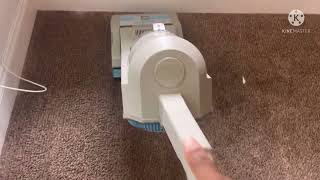 Natural vacuuming with workhorse at mommy house 🏡|| multiple bin dumps