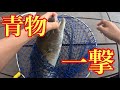 【海上釣堀】青物はこの釣り方で一撃で食います！【フィッシングレインボー】