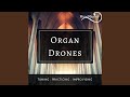 Organ Drone G