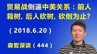 贸易战“倒逼”中美关系：前人栽树，后人砍树，砍倒为止？（2018.6.20）