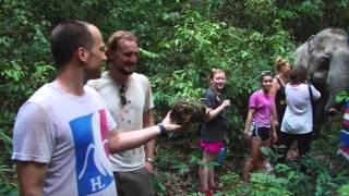 Volunteer - Cambodia Wildlife Sanctuary part.2