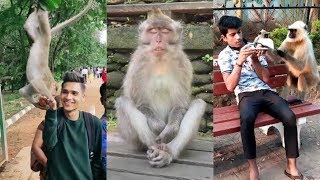 Monkey Funny TikTok video | It will make you laugh 😂