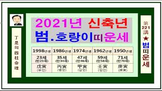 2021년 범 호랑이띠 신축년 운세. 정시의 사주명리221강-범.호랑이띠 2021년 신축년운세입니다.