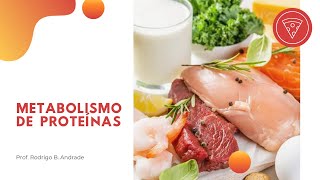 Metabolismo de proteínas