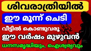 ശിവരാത്രി ദിനത്തിൽ ഈ മൂന്ന് ചെടി വീട്ടിൽ കൊണ്ടുവരൂ ഈ വർഷം മുഴുവനും സമൃദ്ധിയും ഐശ്വര്യവും ഫലം