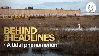 Behind the Headlines - A Tidal Phenomenon