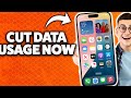 How To Reduce Cellular Data Usage On iPhone 2026 (Step-By-Step Tutorial)
