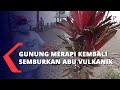 Gunung Merapi Kembali Semburkan Abu Vulkanik