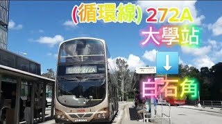 (AVW最後三強)LZ 5771@272A大學站➡️白石角(循環線)縮時行車片