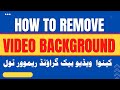 Video Background Remover in Canva | Remove Video Background in Canva | The Digital Hub