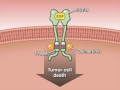 Osimertinib in Advanced Non–Small-Cell Lung Cancer