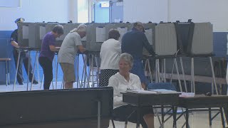 New Hampshire voters head to polls for primary election