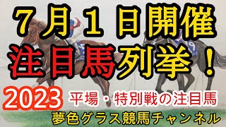 【注目馬列挙・平場予想】2023年7月1日JRA平場特別戦！函館メインTVh杯の注目馬！各場道悪との戦いになりそう？