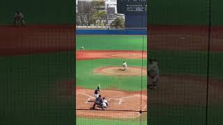 東京農業大学　上田勇斗　センター前ヒット　佐久長聖高校出身　R4.4.16