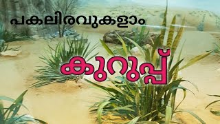 Pakaliravukal Malayalam Song Lyrics -Kurup Movie - Dulquer Salmaan