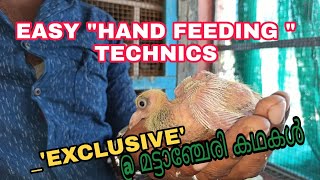 പറവ കുഞ്ഞുങ്ങളെ എങ്ങനെയാണ് Hand feedചെയ്യുന്നത് ?| HOW TO FEED NEW BORN PIGEON CHICK ? FEATHER 18