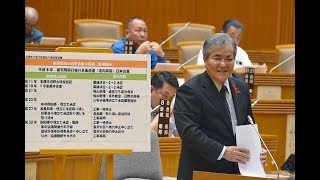 末松 文信（沖縄・自民党）11月定例会 一般質問　平成30年第8回沖縄県議会