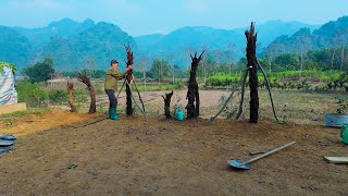 Living the Simple Life: A Single Old Man's Quest for Ferns and Independence