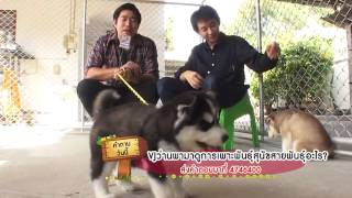 ALL BEST KENNEL รายการ เราทำได้  HD