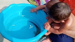 twins baby with snake head fish | twin babies funny video