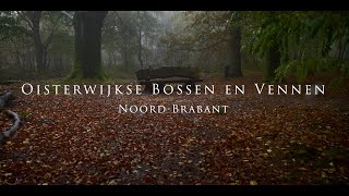 Oisterwijkse Bossen en Vennen, Noord-Brabant