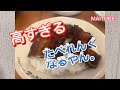 maitube mai ☘️ tube 終わらない夢に 棒読みがうたになるまで