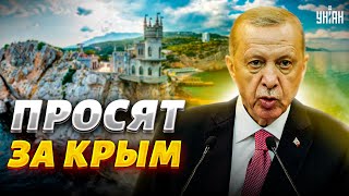 Кремль просит Эрдогана за Крым. Путин почти проболтался - Шейтельман объяснил