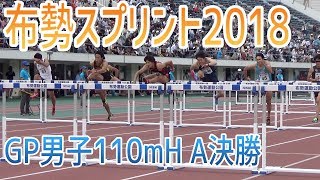 【布勢スプリント2018】GP男子 110mH A決勝