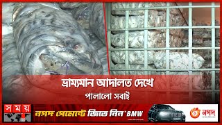 এতিমখানায় ২৫ টন জাটকা মাছ | Jatka Catching | Chattogram News | Jatka Fish | Mobile Court | Somoy TV