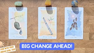 A Major New Beginning That You Don't See Coming! | Timeless Reading