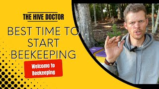 Now!! Is the Best Time to start Beekeeping